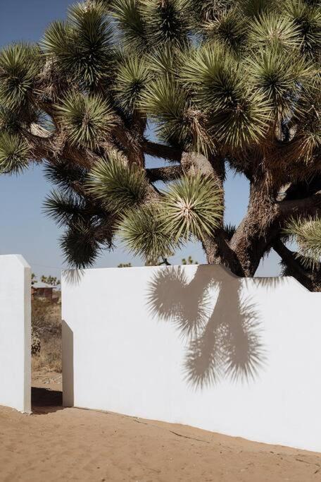 Le Chacuel Villa Joshua Tree Dış mekan fotoğraf